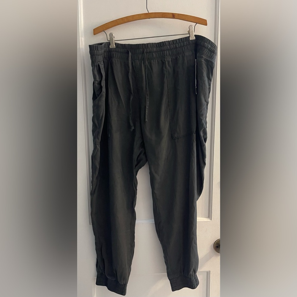 Gap women’s Tencel Joggers Size XXL NWT